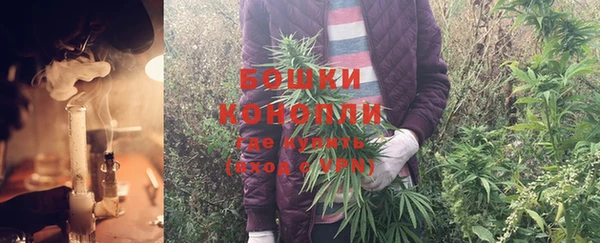 ALPHA PVP Бородино