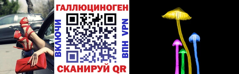 Купить  Фрязино  Псилоцибиновые грибы Psilocybine cubensis 