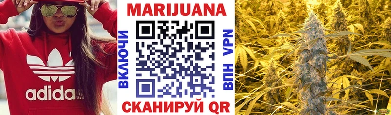 Купить где  Фрязино  Канабис гибрид 
